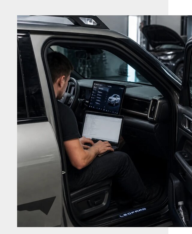 Русификация BYD Leopard 3 в Апатитах по цене от 20640 р. | ФастМобиль-Птт